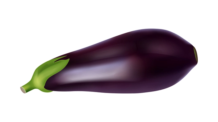 Raw eggplant with green leaf on white background realistic vector illustration