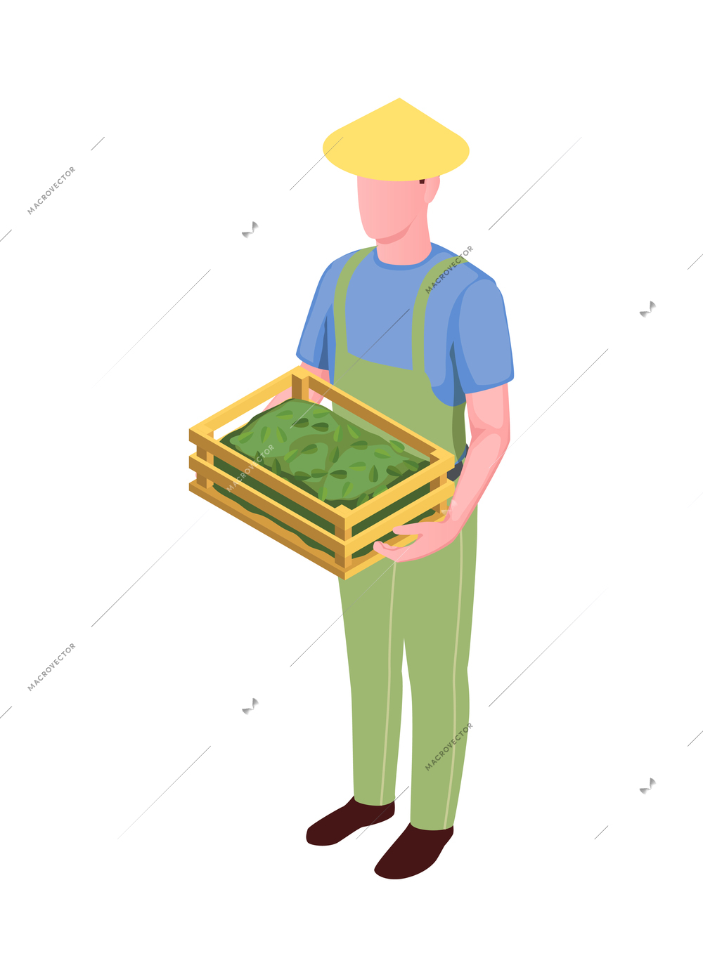 Harvesting isometric icon with picker holding box with plucked tea leaves 3d vector illustration