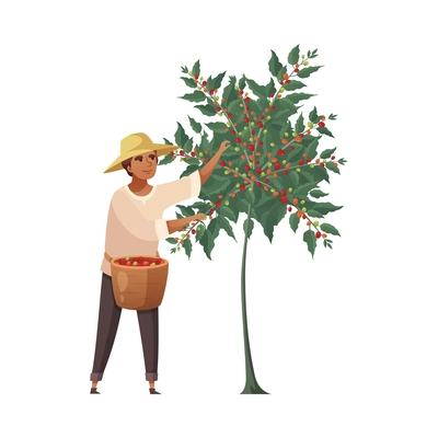 Cartoon male farmer with basket harvesting coffee berries vector illustration