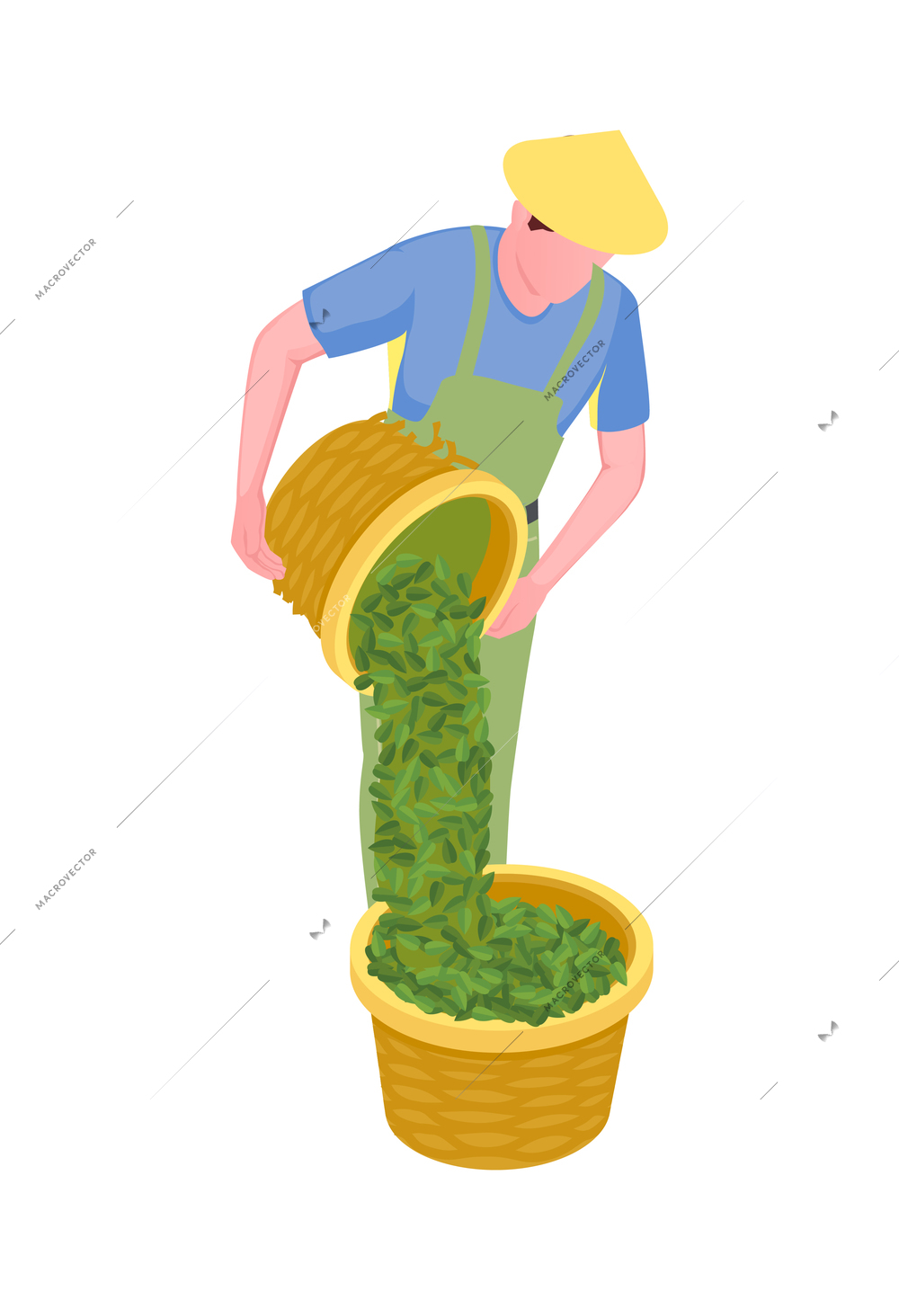 Male picker pouring tea leaves from one basket into another isometric icon 3d vector illustration