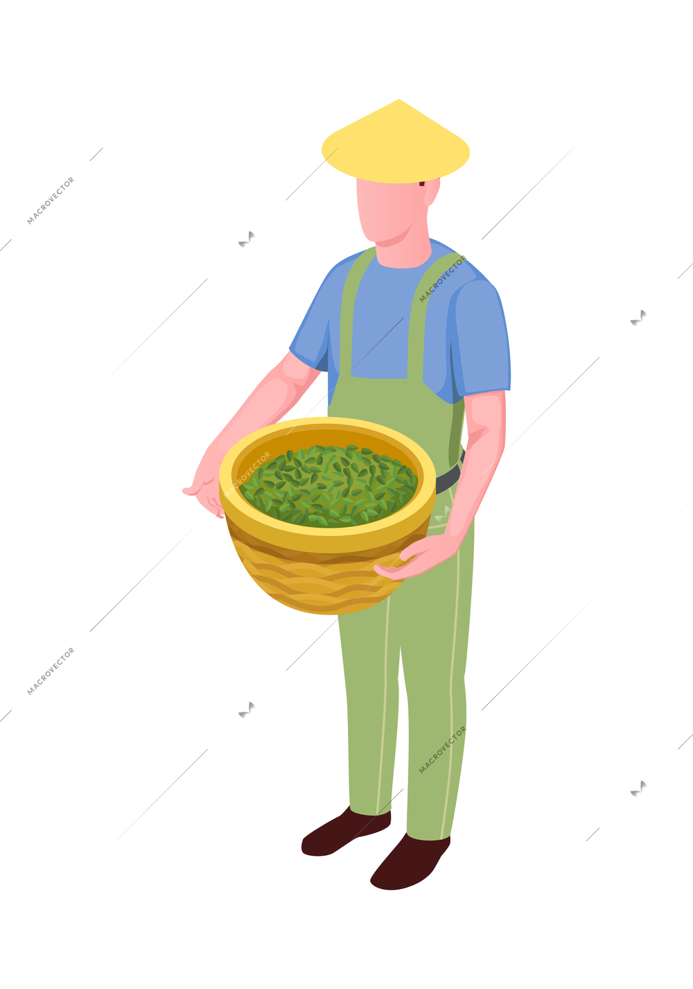 Isometric icon with tea picker holding basket with fresh plucked leaves 3d vector illustration