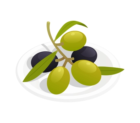 Twig with fresh olives and leaves on plate isometric icon 3d vector illustration