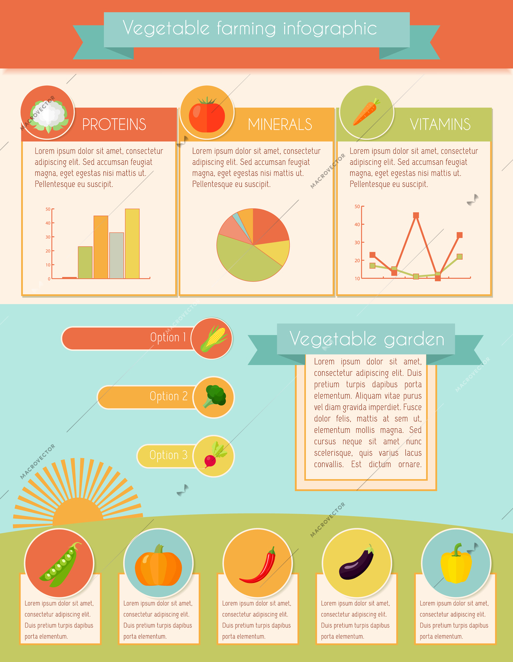 Vegetables garden and farming infographic set with charts vector illustration