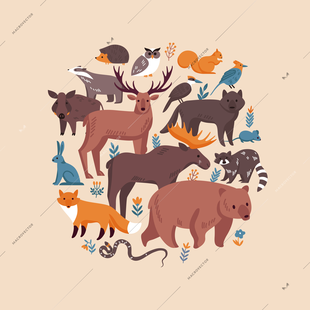 Forest animals round composition of wild flowers and grass icons with various animals and bird images vector illustration