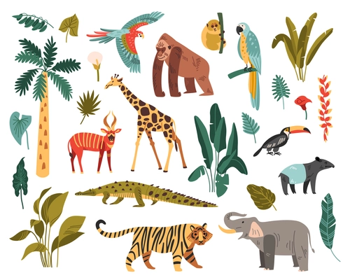 Jungle set of isolated icons with exotic birds and wild animals with tropical plants and trees vector illustration