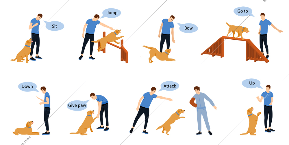 Dog training flat infographics with images of dogs human characters and bubbles with editable text commands vector illustration