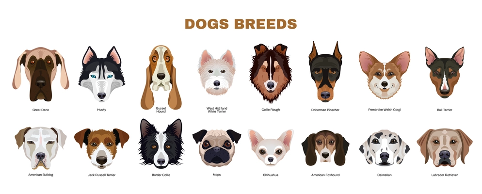 Flat horizontal dogs breeds set with isolated portraits of great dane bulldog corgi bull terrier foxhound dalmatian vector illustration