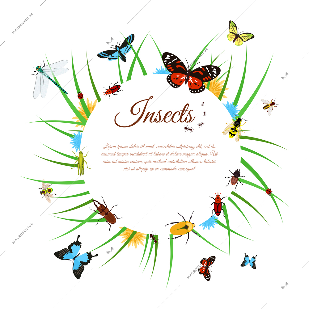 Insects background with butterflies dragonflies and bees in grass vector illustration