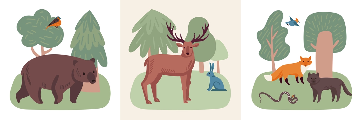 Forest animals design concept with three square compositions of wild animals and birds in native habitat vector illustration