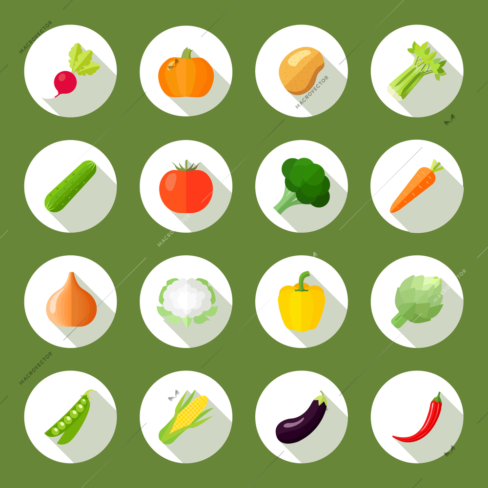 Vegetables icons flat set with radish pumpkin potato celery isolated vector illustration