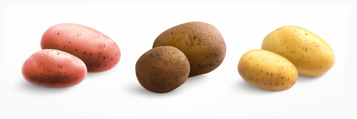 Potato realistic set with three isolated pairs of ripe potatoes of different type and peel color vector illustration