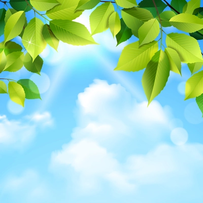 Green leaves tree foliage and blue sky clouds outdoor realistic background vector illustration