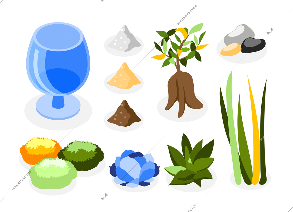 Plants decorative set with houseplants glass package and stones isometric isolated vector illustration