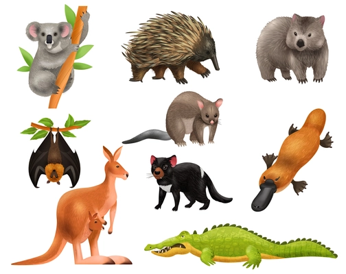 Australian animals set of isolated icons with images of wild rodents kangaroo crocodile and hanging rat vector illustration