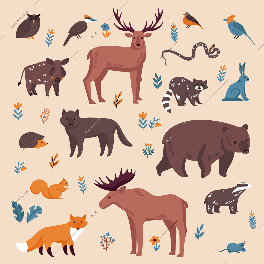 Forest animals color set with isolated images of small and big wild animals with flowers leaves vector illustration