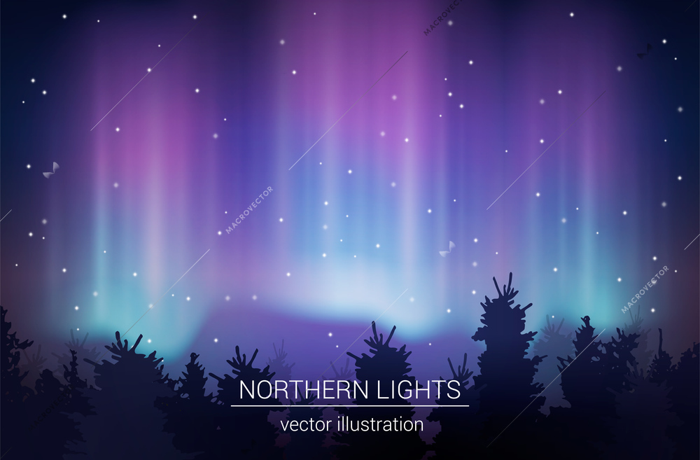 Arctic borealis in starry sky at northern wild nature landscape background realistic vector illustration