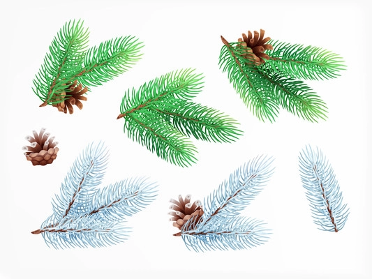 Christmas decorations plants snowy realistic composition with isolated images of tree branches with icy fir needle vector illustration