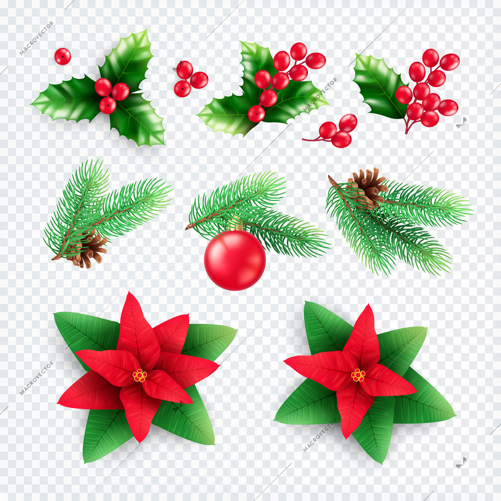 Christmas decorations plants set of realistic icons on transparent background with fir needle cones and flowers vector illustration