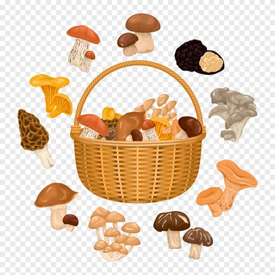 Basket with edible forest mushrooms colored autumn composition on transparent background cartoon vector illustration