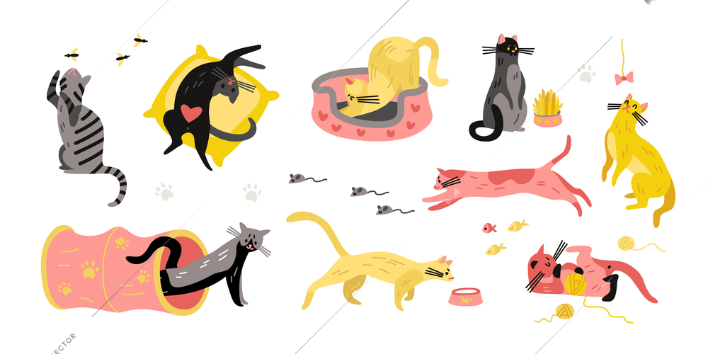Set of isolated cats character objects with images of colorful pets with bees fishes and mouses vector illustration