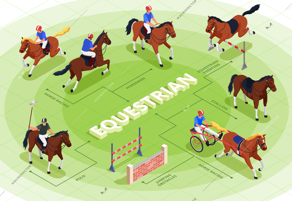 Equestrian sport flowchart with horse racing symbols isometric vector illustration