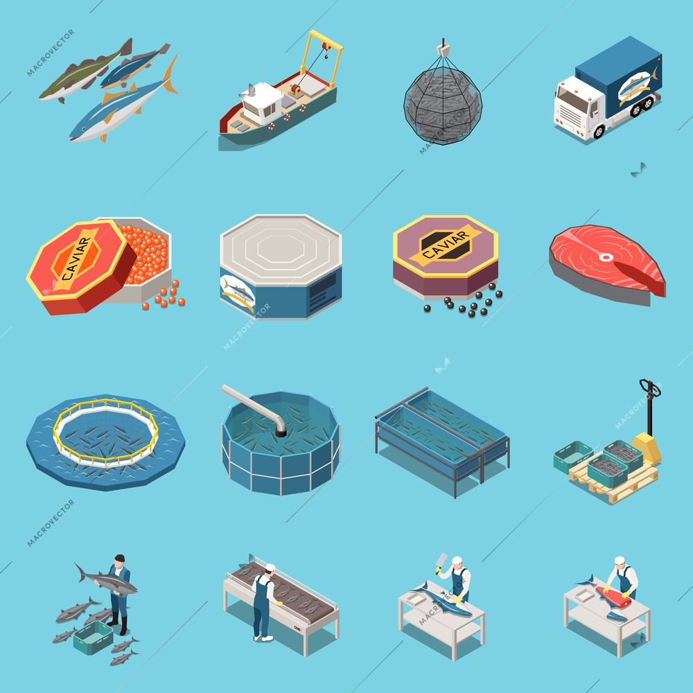 Industrial fishing farming isometric set with vessel seafood transportation nets salmon fresh capture butchering sale vector illustration