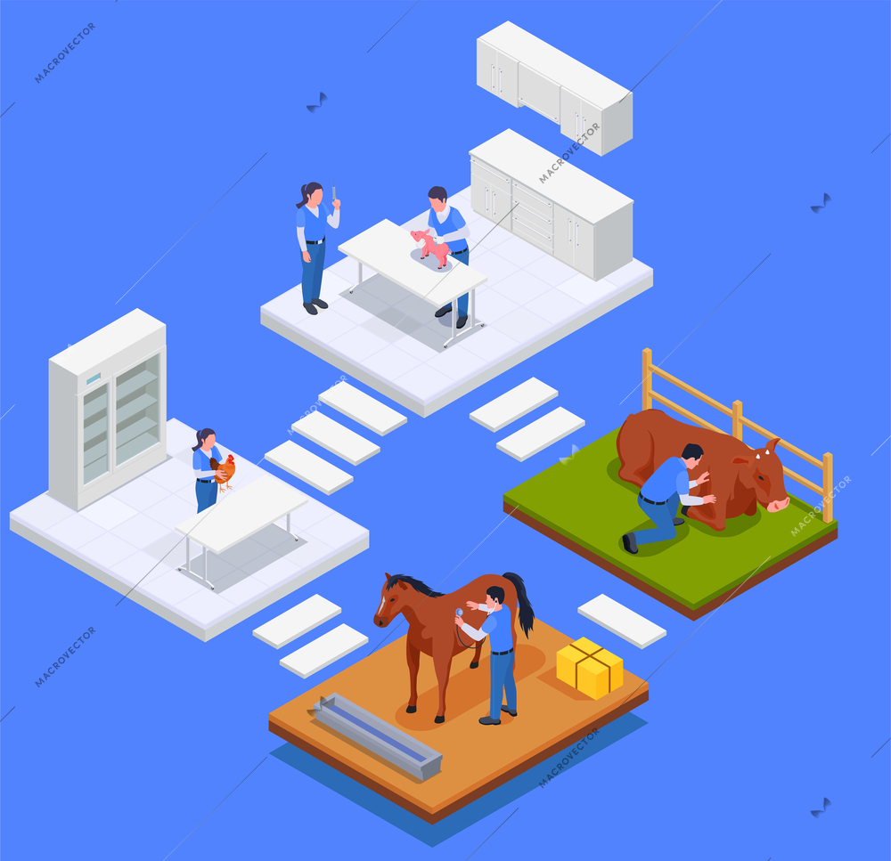 Isometric farm animals veterinary composition abstract stairs and rooms with vaccination cabinets and doctors offices vector illustration