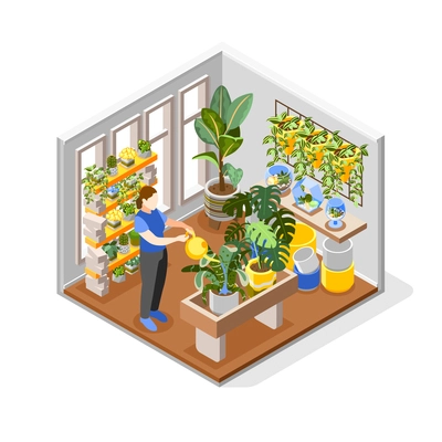 Plants composition with pots seeds and soil isometric vector illustration