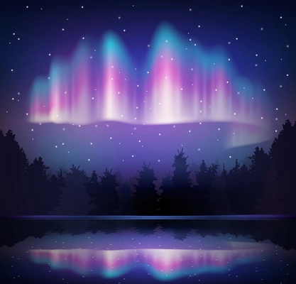 Northern lights reflected in forest lake night colored composition realistic vector illustration