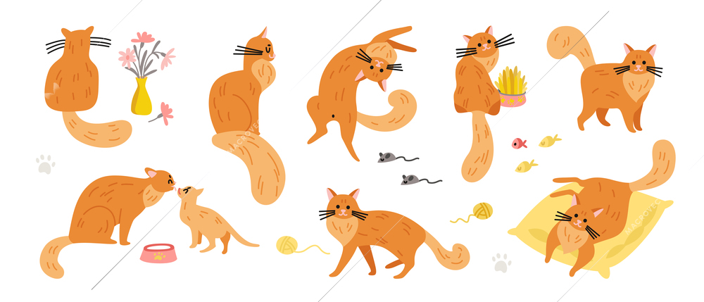 Cat set of isolated images of ginger colored pets with various accessories fish and mouse icons vector illustration