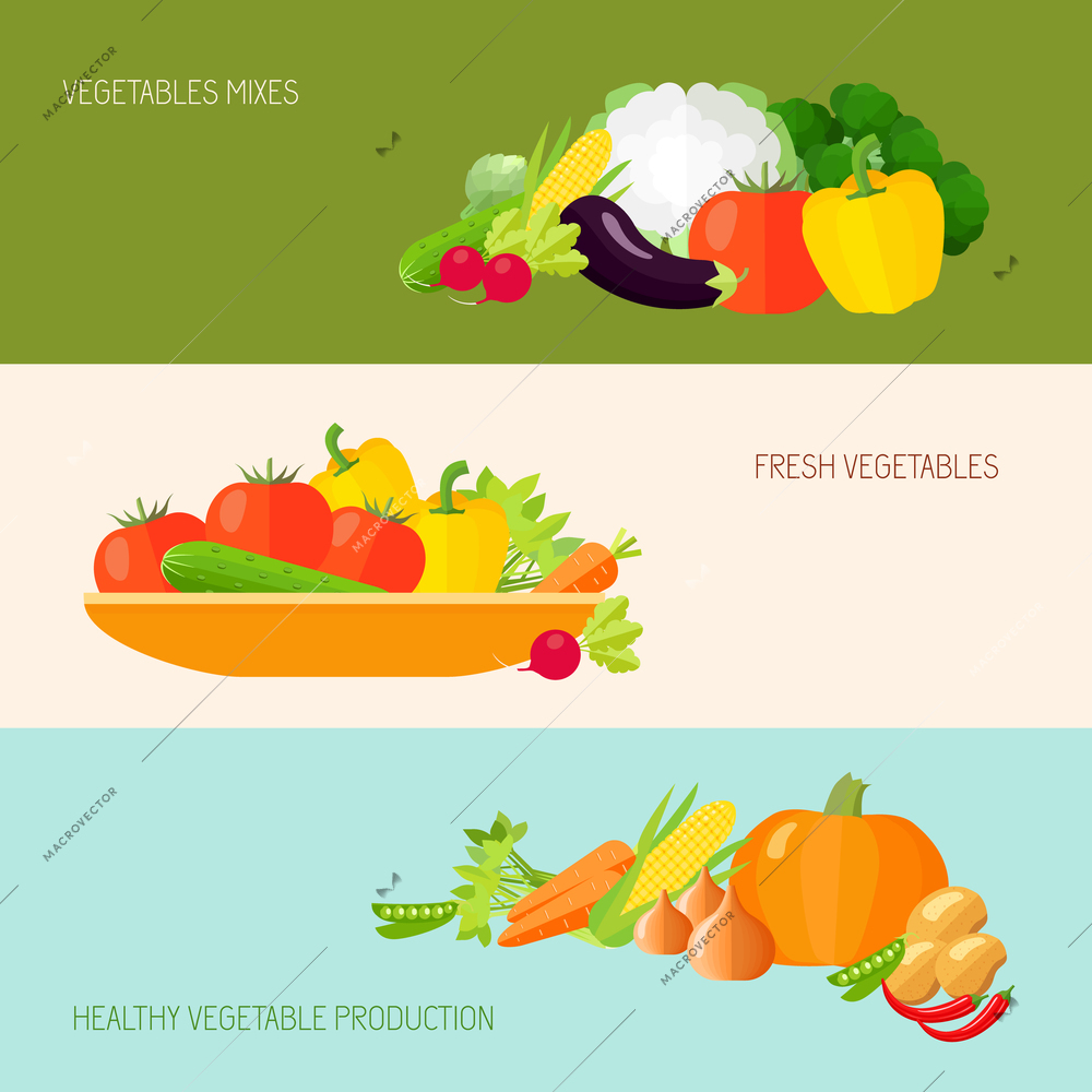 Vegetables fresh healthy production horizontal banner set isolated vector illustration