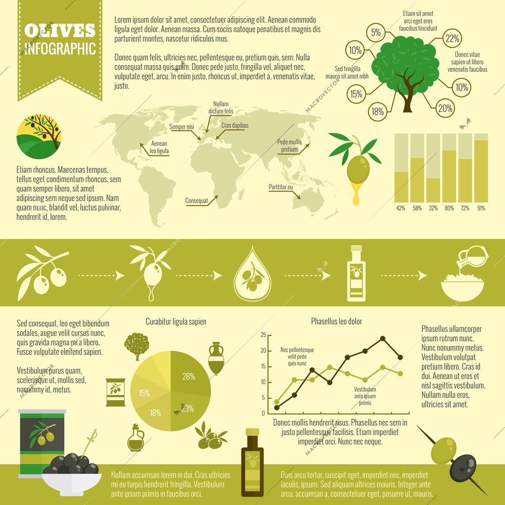 Natural organic olives infographics set with charts and world map vector illustration