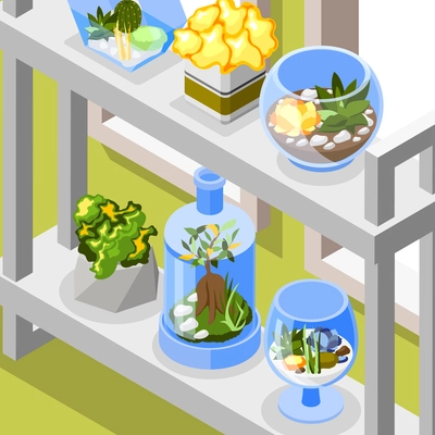 Plants background with houseplants in glass and interior decoration isometric vector illustration