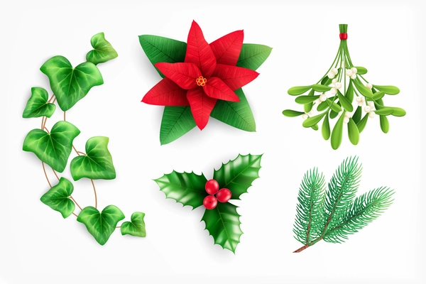 Set with isolated christmas decorations icons of home plants with colorful floral images on blank background vector illustration