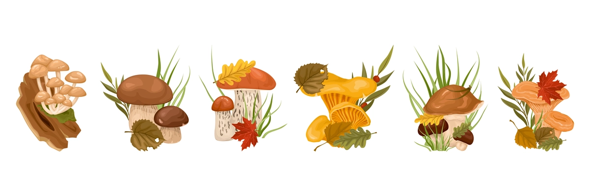 Mushrooms with leaves cartoon row with honey agaric porcini boletus oyster oiler   isolated elements vector illustration