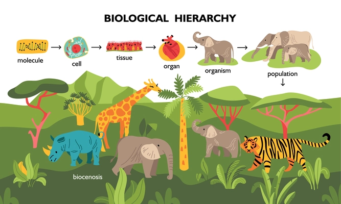 Biological hierarchy composition with wild landscape background and icons of animal organs tissue cell and molecule vector illustration