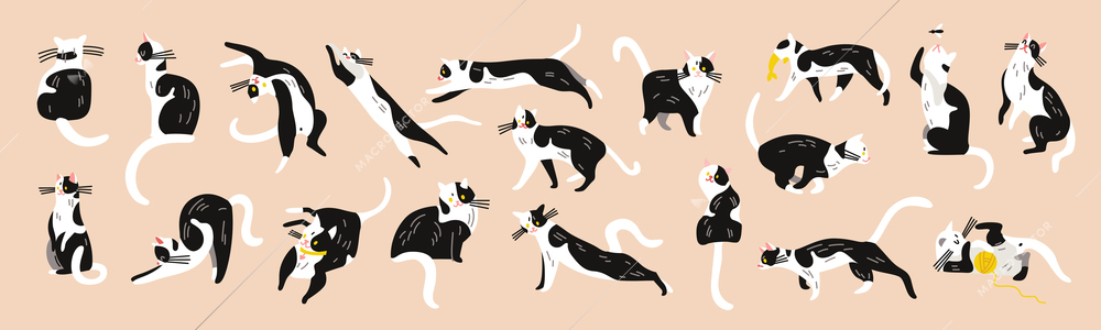 Cats character set with isolated images of similar black and white kitten pet in different poses vector illustration