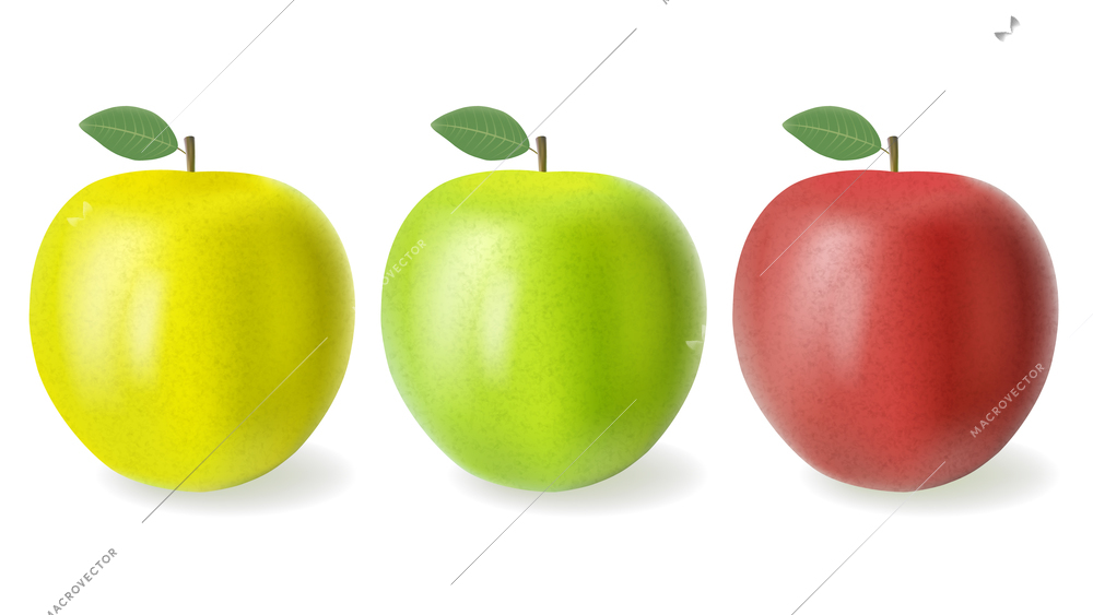 Set with three isolated apple fruits isolated images with different colors of peel on blank background vector illustration