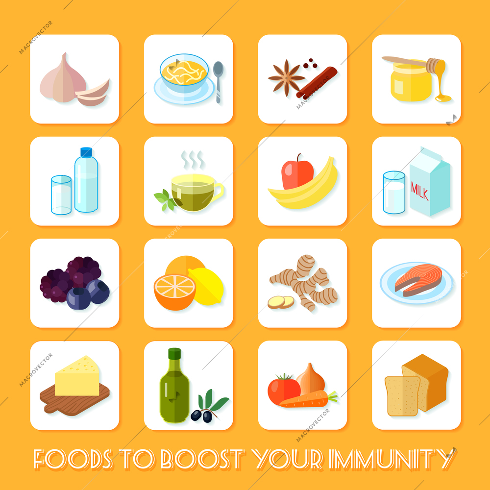 Healthy food that boost your immunity icons flat set isolated vector illustration