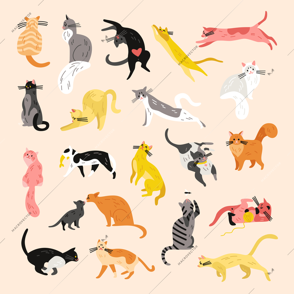 Various cats character set of isolated icons with pets of different hair color and spots shape vector illustration