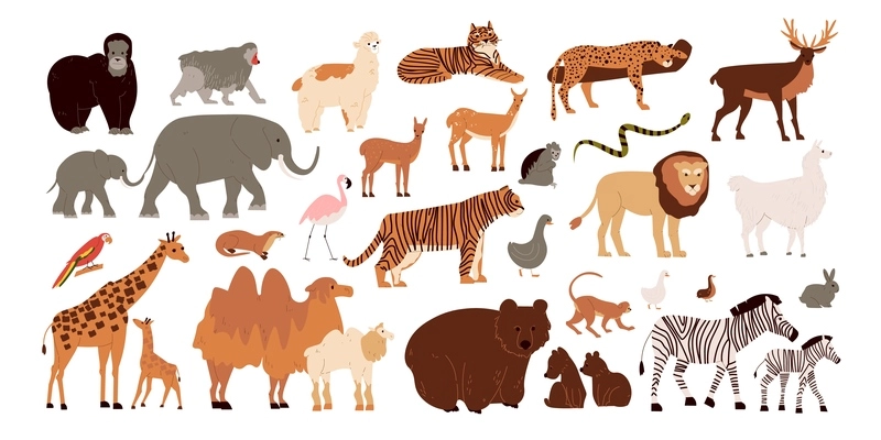 Zoo animals set with wild mammals and birds flat isolated vector illustration