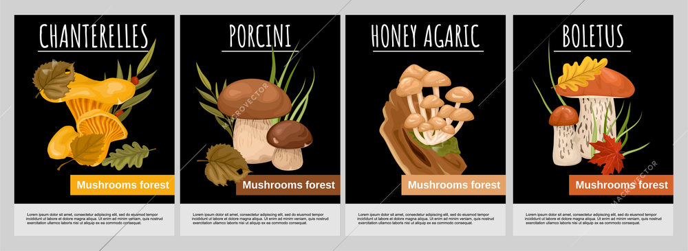 Mushrooms forest poster set of chanterelle porcini honey agaric boletus images on black background isolated vector illustration