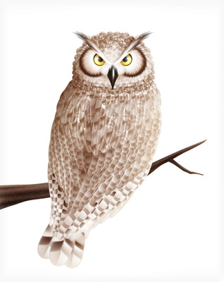 Owl realistic composition with blank background and isolated image of bird sitting on wooden tree branch vector illustration