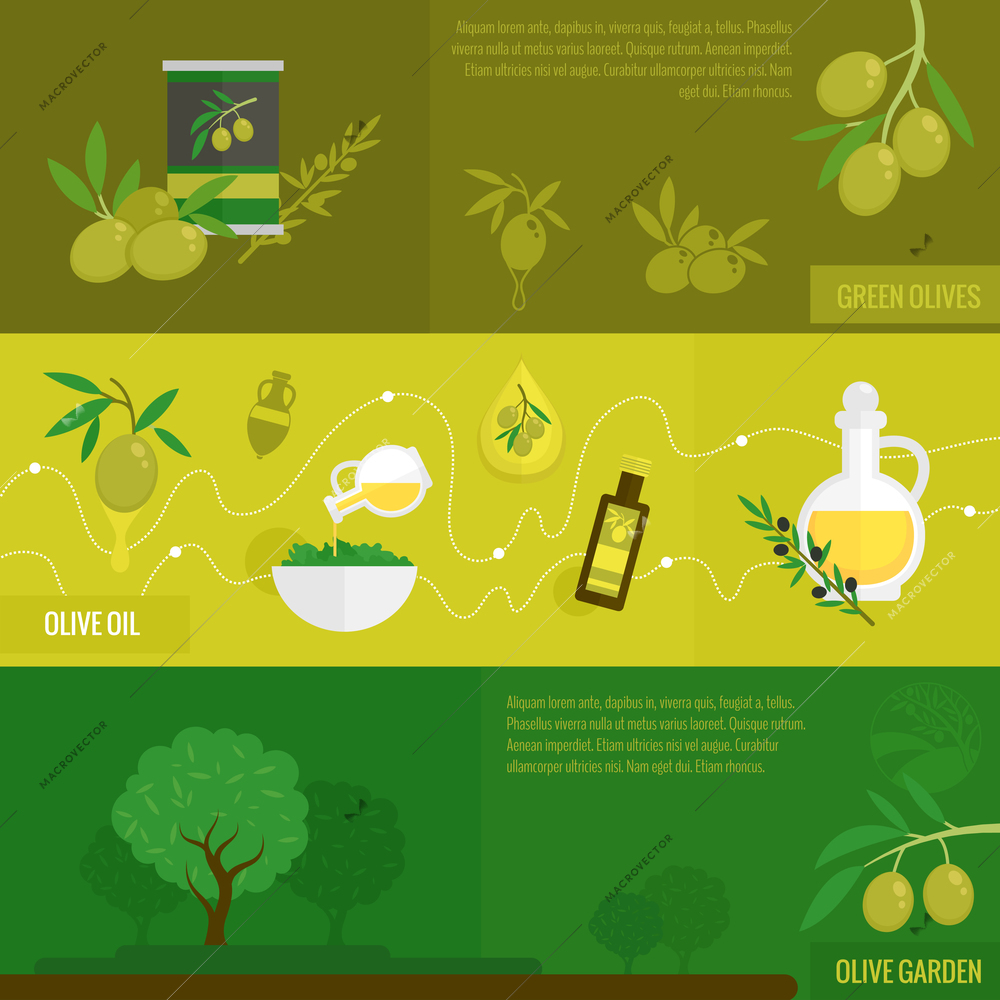 Olives flat banner set with green black oil and garden tree set isolated vector illustration