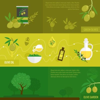 Olives flat banner set with green black oil and garden tree set isolated vector illustration