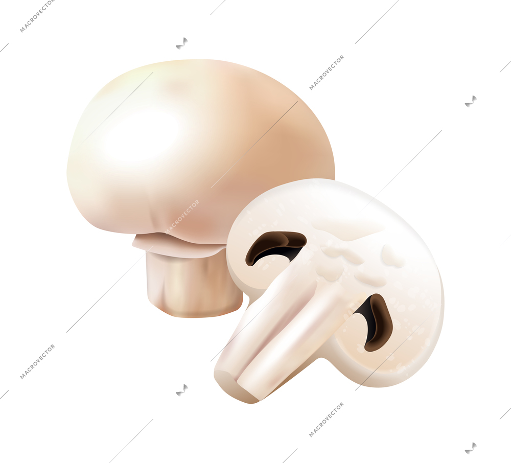 Realistic raw whole and sliced champignon on white background vector illustration