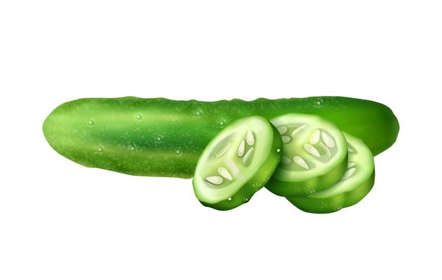Fresh whole and sliced cucumber on white background realistic vector illustration
