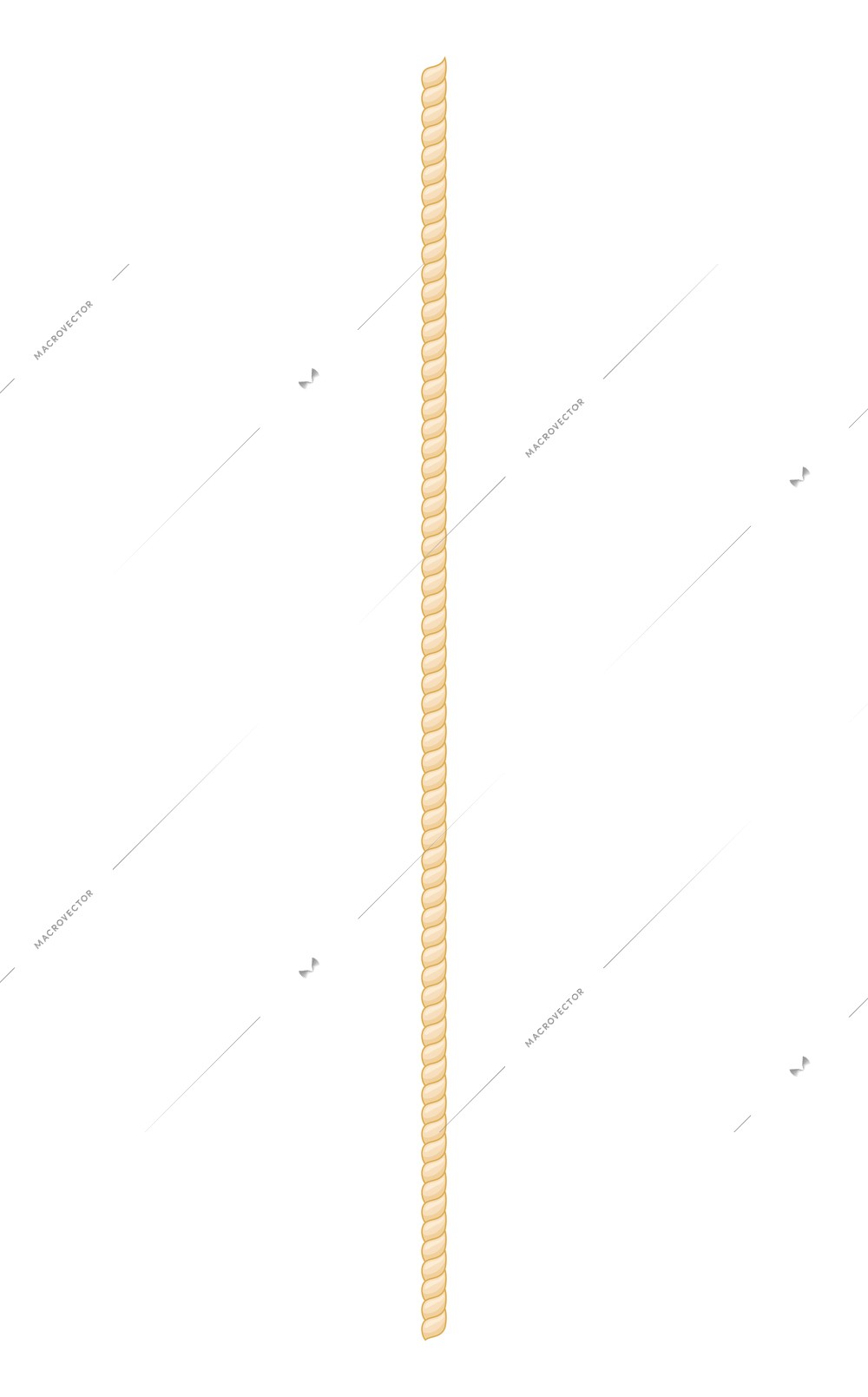 Realistic vertical thin leather belt on white background vector illustration