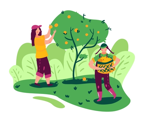 Eco farming gardening flat composition with two people picking ripe fruit from tree vector illustration