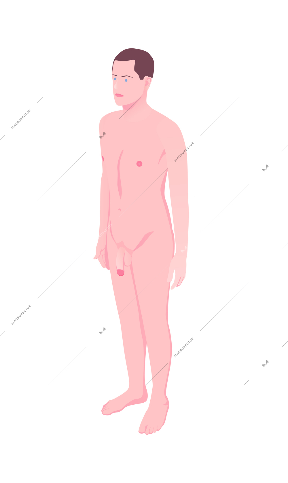 Male human body on white background 3d isometric vector illustration